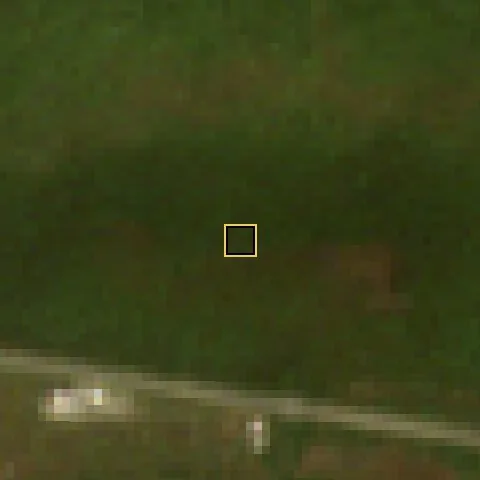 Satellite photo, December 2023: the plot and surroundings are green bush